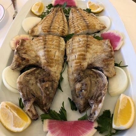 Asya Alabalık